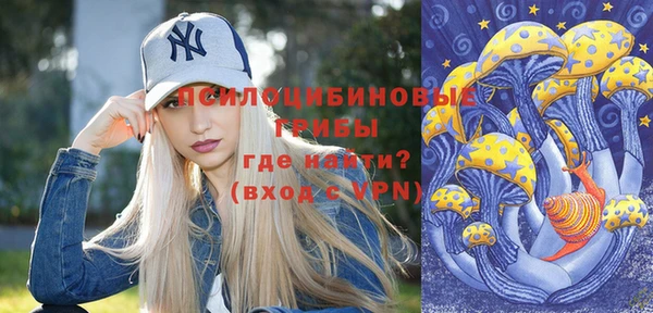дурь Алзамай