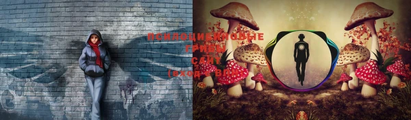 синтетический гашиш Алексеевка
