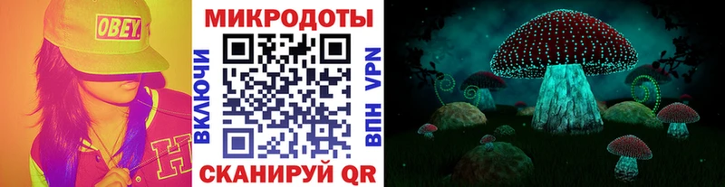 где купить наркотик  Чегем  Галлюциногенные грибы MAGIC MUSHROOMS 